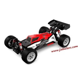 Jiabaile 1001 1/10 Brushless Radio Control 4WD High-Speed Buggy